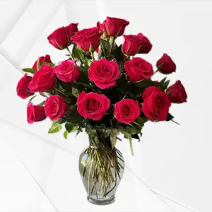 24 Fuchsia Desire Hot Pink Roses – Two Dozen Premium Hot Pink Roses