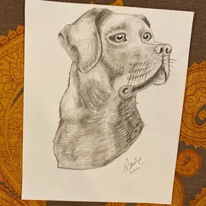 Lab 8 x 10, charcoal