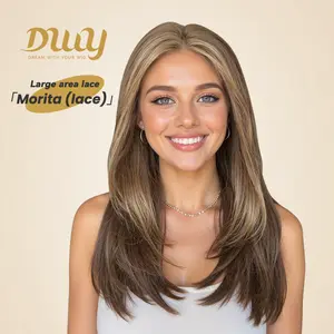 Morita (lace) -DWY Lace Front 13*4 Free Part Mid-Length Straight Brown with Highlights Glueless Synthetic Wig for Women 16 Inches