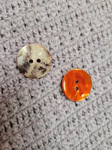 20mm Shell Two Hole Button