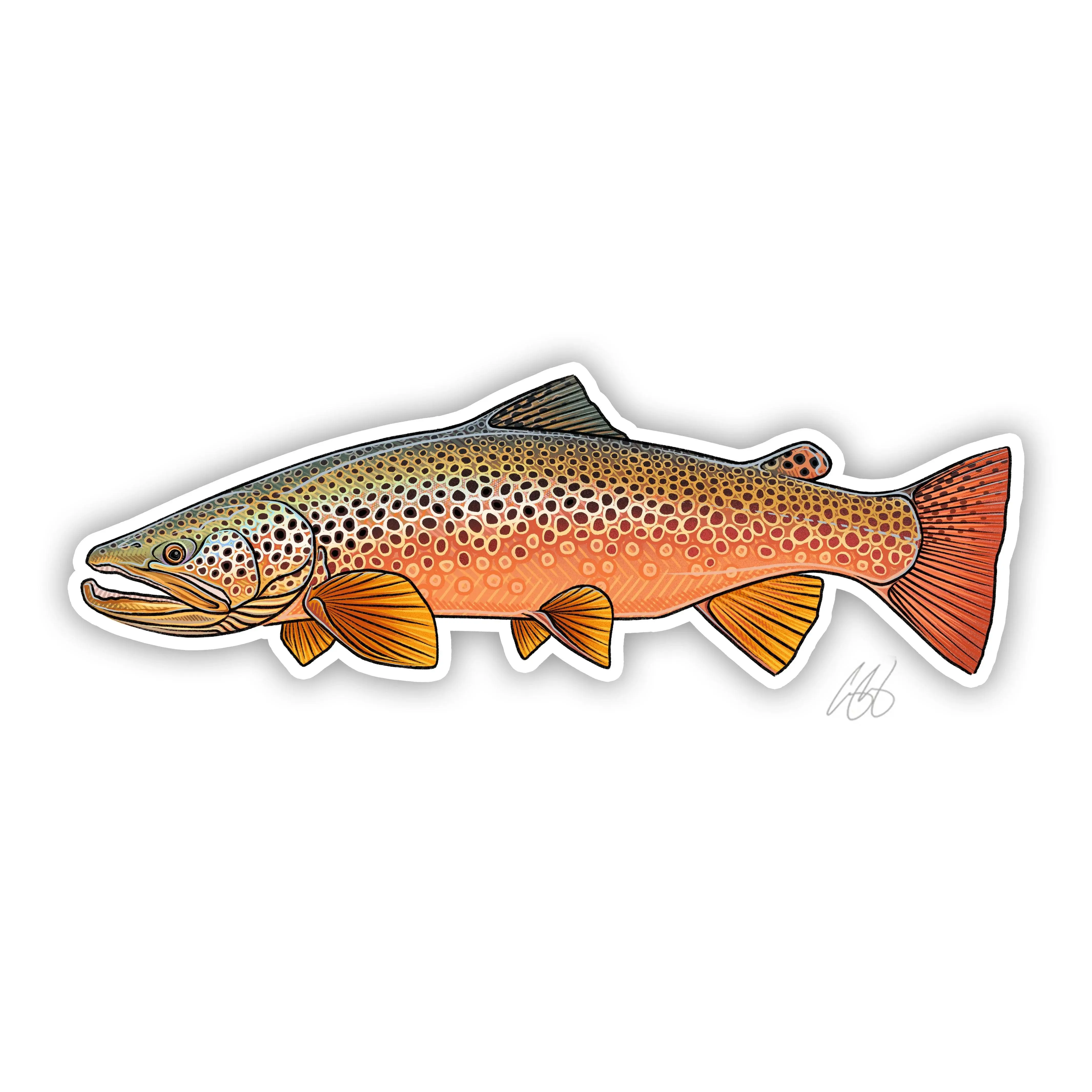 Casey Underwood Autumn Brown Trout Decal