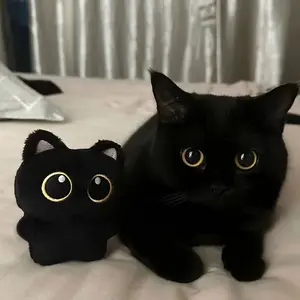 1Pc 12-month Usable Cartoon Black Cat gnaw Toy, Black Cat Doll Pendant, Suitable for Cats and Dogs, Squeaks When Chewed, Providing Fun and Exercise, Ideal for,, Beloved pet and Gifts