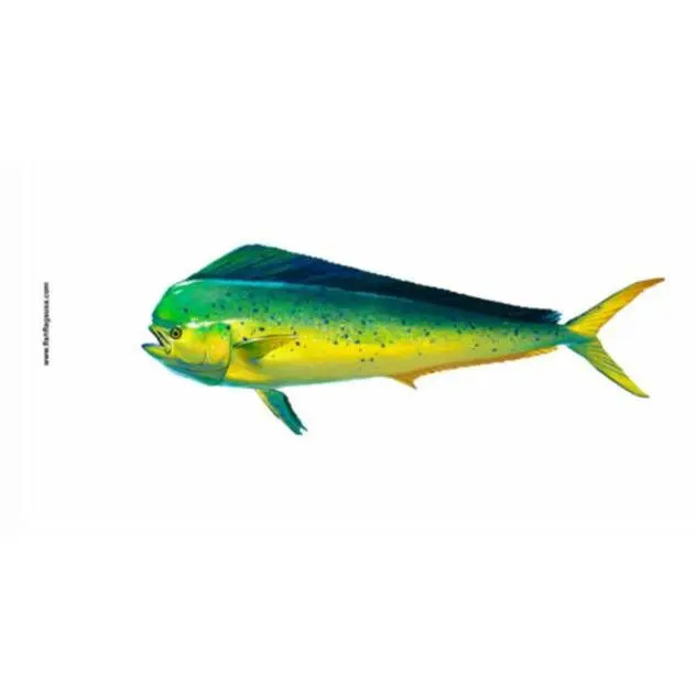 Photorealistic Mahi Fish Print Fabric Flag for Boats, Durable Outdoor Banner for Fishing Enthusiasts, Single Unit, Prints, Photorealism, Realistic Look, One Flag