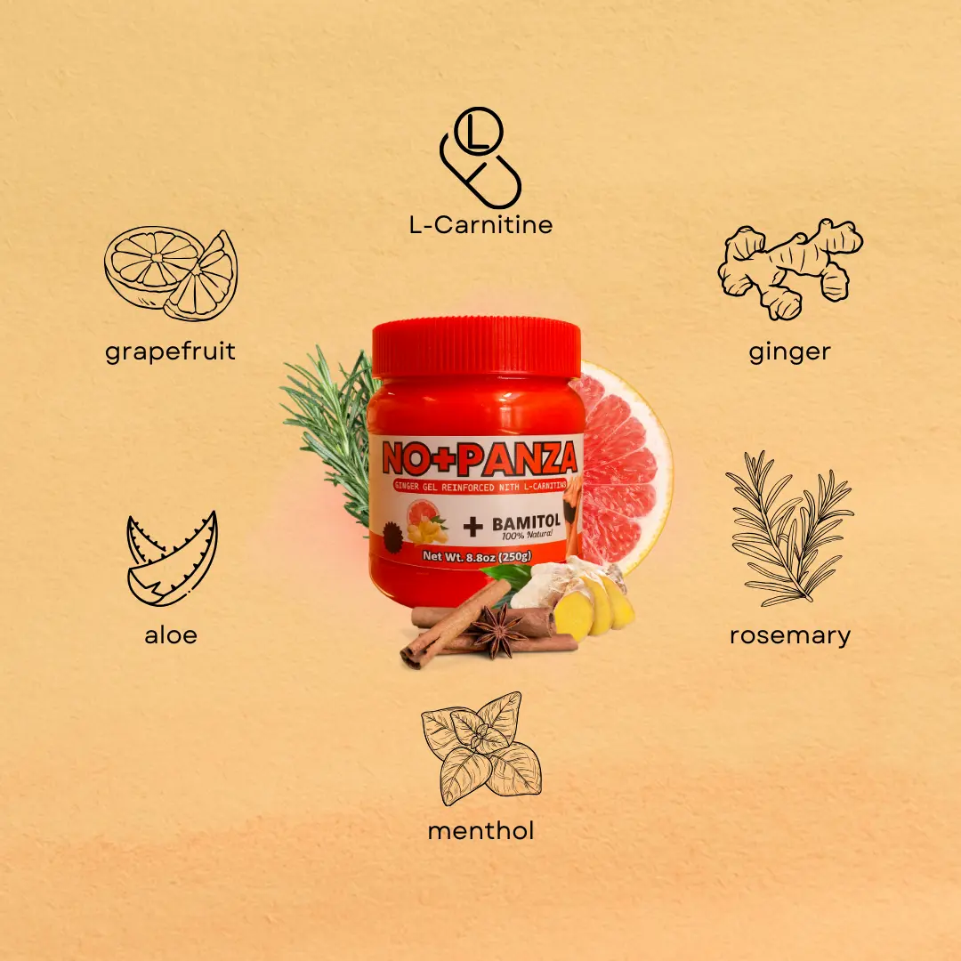 l carnitine gel NO+PANZA Ginger Gel Reinforced with L-Carnitine 8.8 Ounce Herbal Massage Gel for Stomach Legs Arms Natural Self Care Routine l carnitine gel NO+PANZA Ginger Gel Reinforced with L-Carnitine 8.8 Ounce Herbal Massage Gel for Stomach Legs Arms Natural Self Care Routine