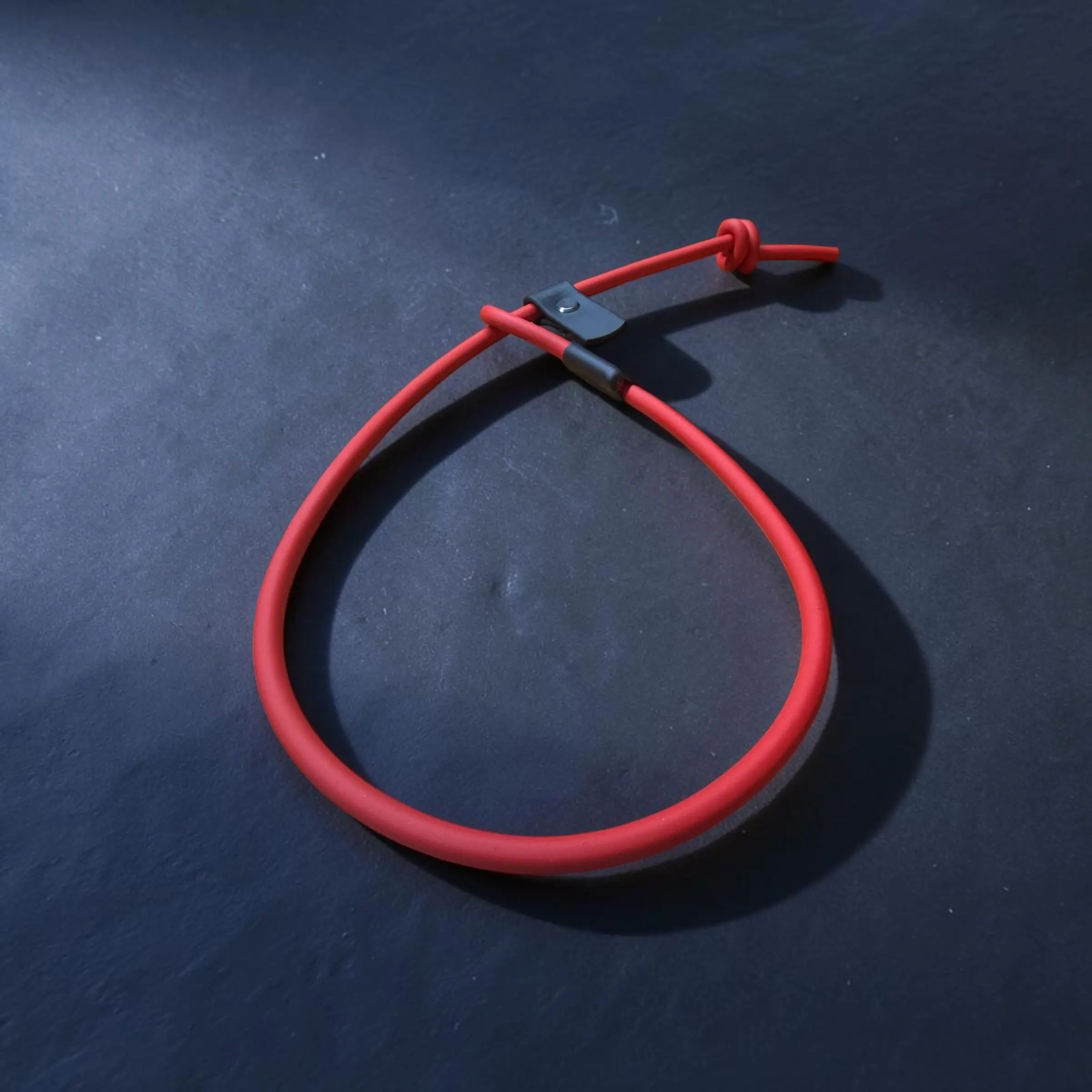 ROPE SLIP LEAD
