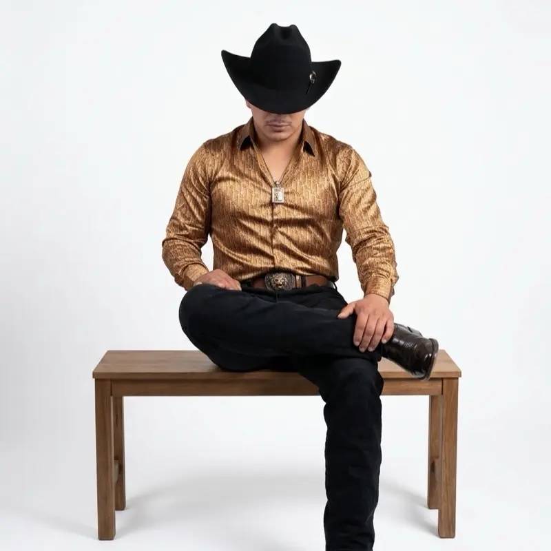 Men's Casual Western Shirt, Solid Color Long Sleeve Button-Up Top with Collar for Everyday Outings