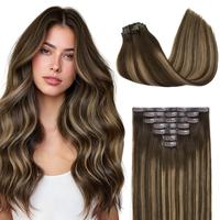 Caramel Blonde Balayage (4/27/4)