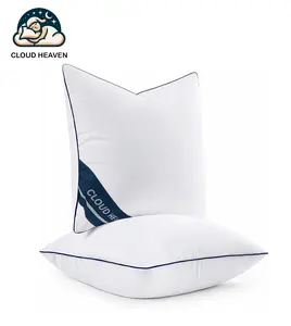 Throw Pillows Inserts(Pack of 2, White),Cloud Heaven Premium Microfiber Pillow Ultra Soft Fluffy 16x16 18x18 20x20 Inches Never Goes Flat, Machine Washable