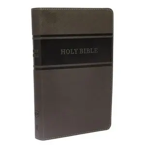 USED-KJV, Deluxe Gift Bible, Imitation Leather, Gray, Red Letter Edition by Thomas Nelson (Imitation Leather)