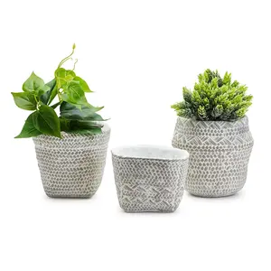 White Washed Basket Planter Set of 3