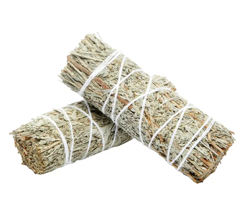 how can i order cigarette Buy Cigarettes Online Now