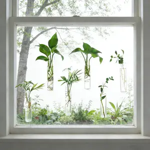 Plant Propagation Vase Tubes with suckion Cups & Nails, Easy to Install Wall Hanging Planter Propagation Station, Glass Plant Terrarium Vase