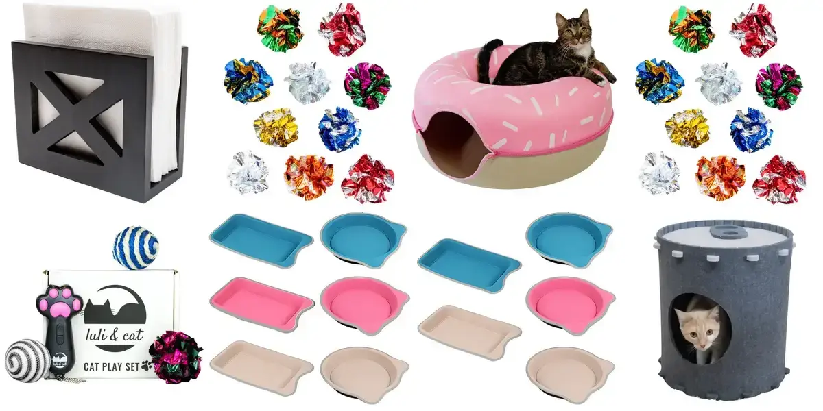 background preload poster image 