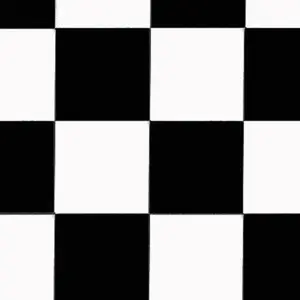 Black White Racing Checker Cotton Fabric
