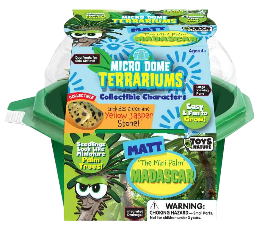 Matt 'The Mini Palm' Madagascar Micro Dome Terrarium
