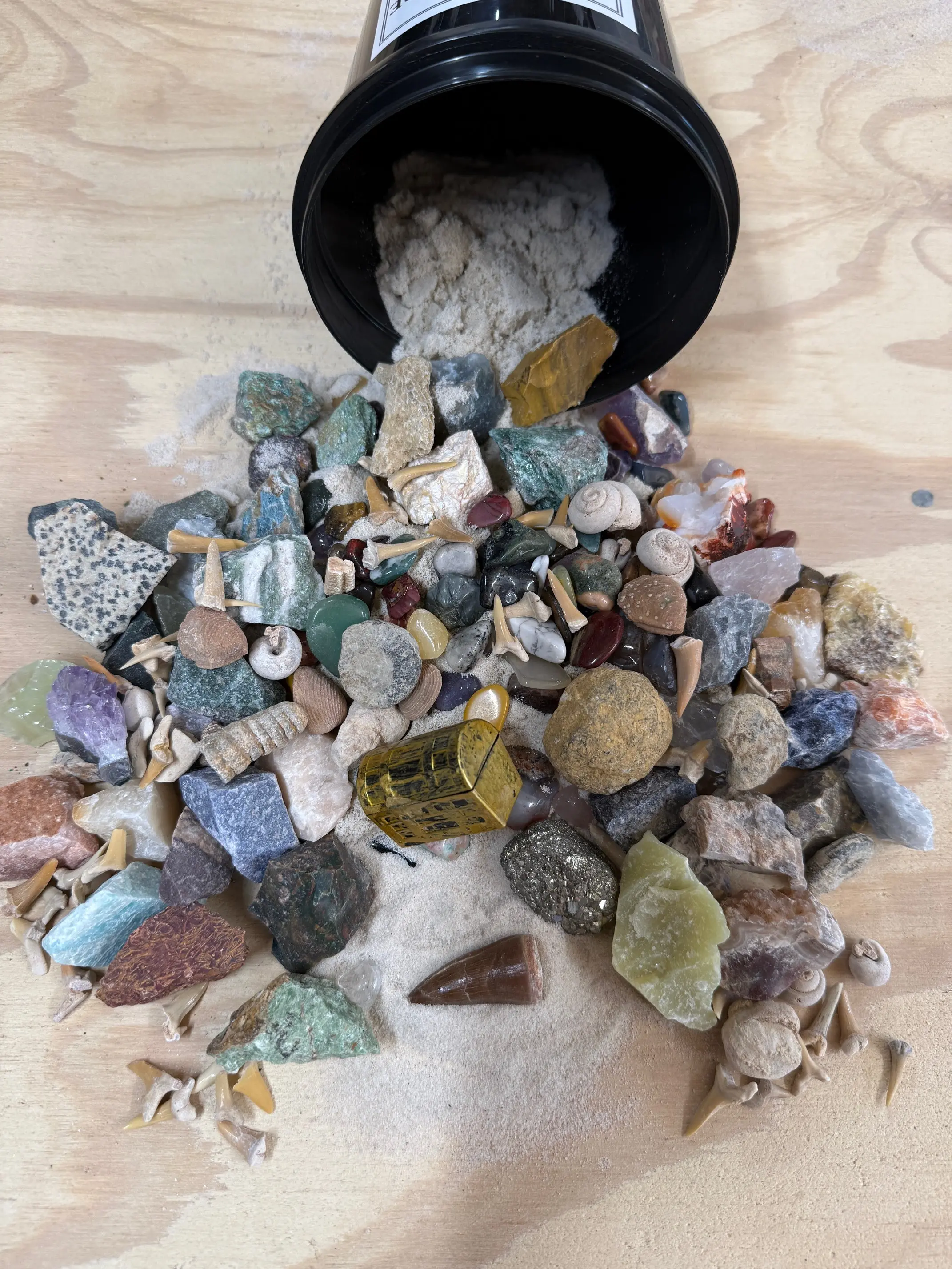THE QUART MINI MINER-SAURUS NATURAL CRYSTAL AND FOSSIL MINING BUCKET