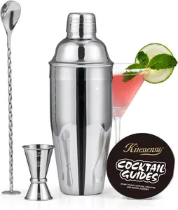 Cocktail Shaker, 24oz Drink Shaker with Bartender Strainer, Measuring Jigger, Bar Mixing Spoon, Cocktail Recipe Guide, Professional Drink Mixer Set for Beginners, Silver