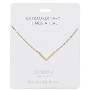 'Extraordinary Things Ahead' Gold Arrowhead Necklace