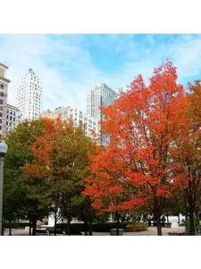 COLD IN THE D hand poured scented vegan candle COLD IN THE D hand poured scented vegan candle