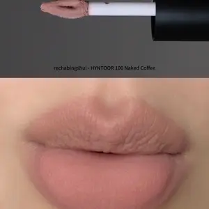 Hyntoor Velvet Matte Lipstick Black Lipgloss Gothic Rabbit Nude Milk Fog Lip Gloss Silk Velvet Lip Balm