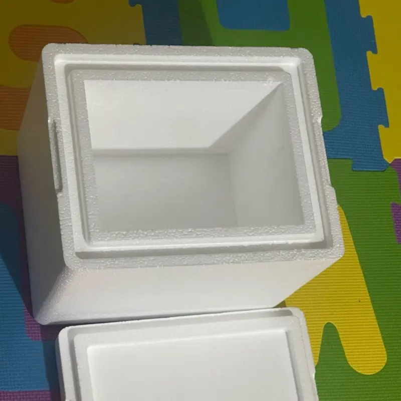 1) Portable Small Styrofoam Cooler with Lid  2) 6x8 White Gel Ice Pack – 1Pack