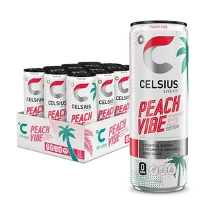 CELSIUS Sparkling Peach Vibe Functional Essential Energy Drink 12 Fl Oz Pack of 12 Sparkling Peach Flavor Functional Energy On-the-go Hydration