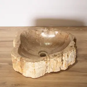 Petrified Wood Vessel Sink - Unique