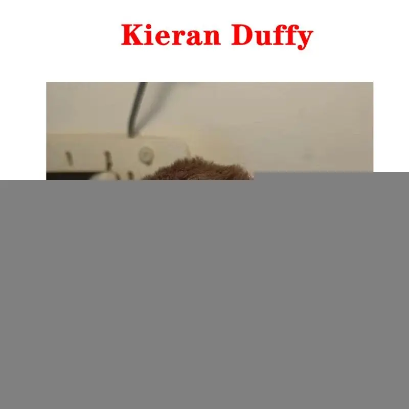 10cm RDR2 Game Red Dead Redemption 2 Kieran Duffy / Arthur Morgan / Javier Escuella‌ Plush Toy Bag Keychain Pendant Plushie Doll