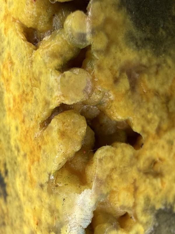 Real Volcanic Bumblebee Jasper | Hand-picked from Indonesia | Vibrant yellow crystal home decor energy Real Volcanic Bumblebee Jasper | Hand-picked from Indonesia | Vibrant yellow crystal home decor energy