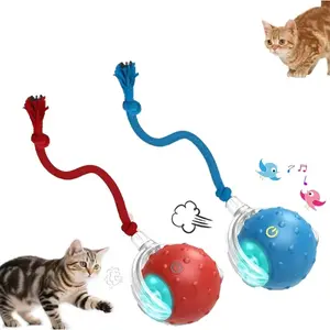 Interactive Cat Toy Ball with Bird Chirping Super Drive Cat Rolling Balls Motion Activated Sensor Pet Kittens Teaser Game Toys