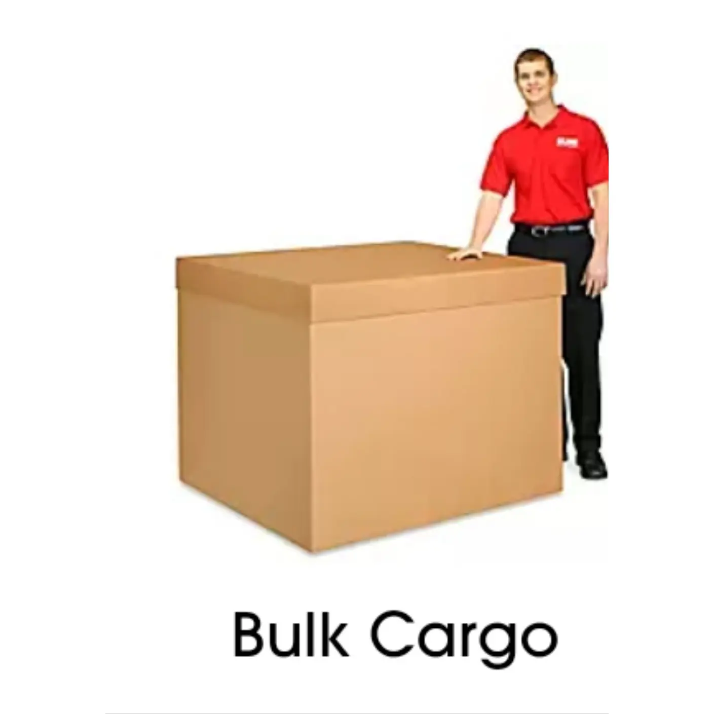 Bundle 5, Bulk cargo box Bundle 5, Bulk cargo box