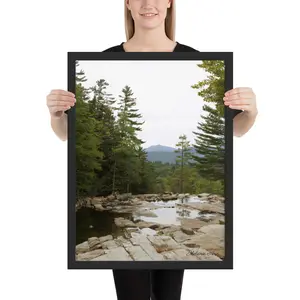 View from Jackson Falls Framed poster