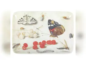 Specimen Valet Tray      