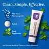 Whitening Toothpaste, Fresh Breath Formula, Natural Oral Care & Enamel Repair, Helps Remove Coffee, Tea & Wine Stains, Fresh Minty Gel, 3.5 Oz Tube (1 Pcs)