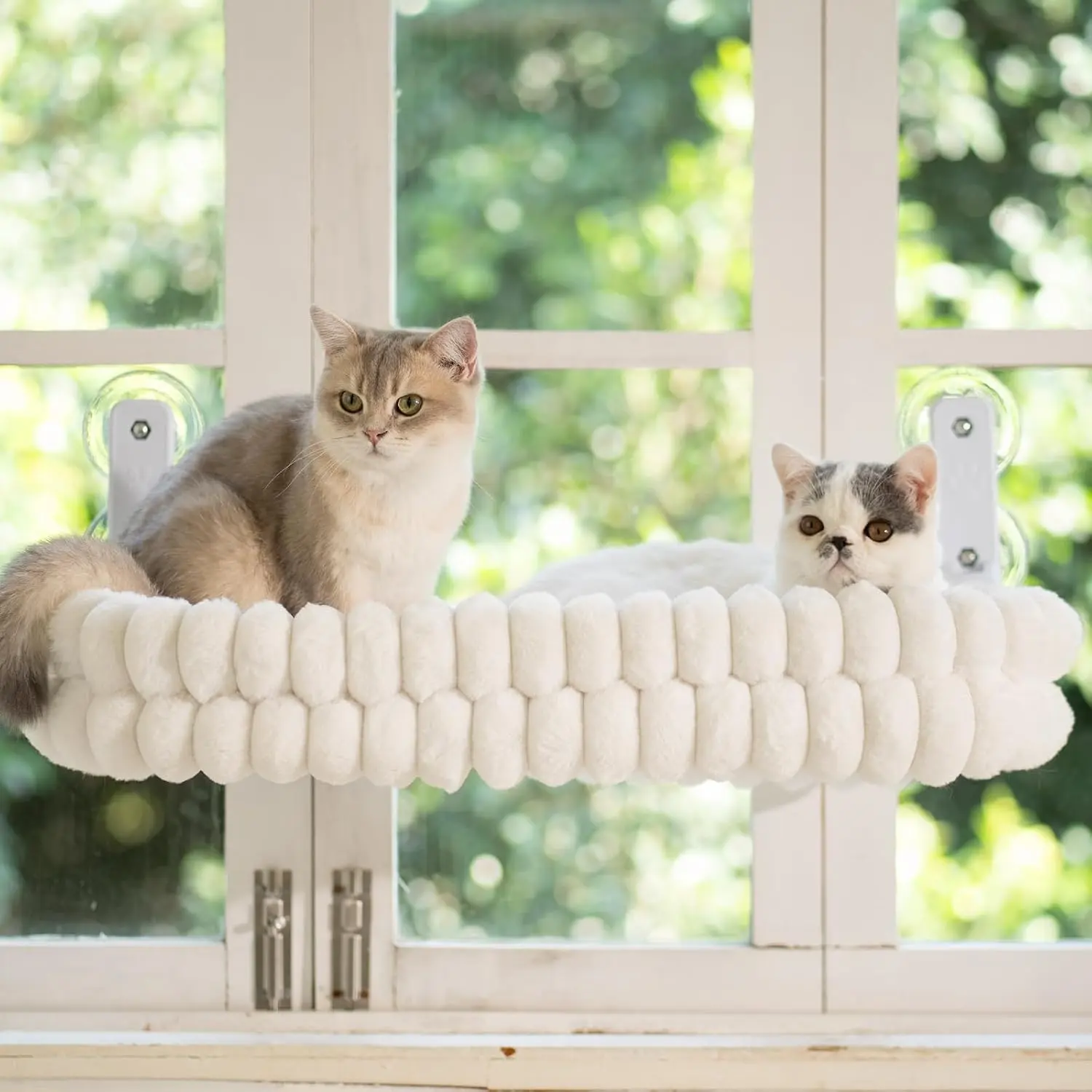 Cordless Foldable Cat Window Perch Hammock - Curtain-Use Foldable Bed, 4-Sided Bolster Plush Fabric Mesh Bed, Heavy-Duty Metal Frame, Supporting Cushion, 40lbs Capacity, Year-Round Use (Cream White, Medium)