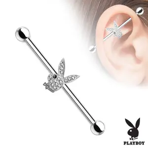 Playgirl Industrial Piercing