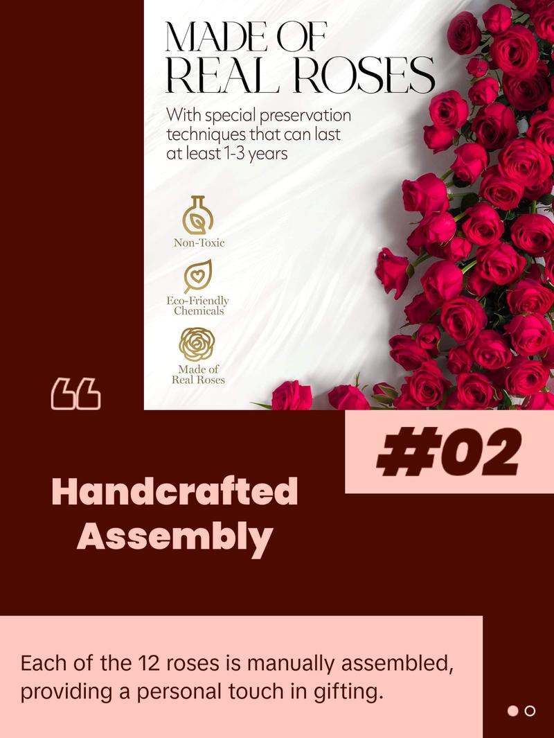 Eternal Prestige Velvet Black | 12 Red Roses Decor Box