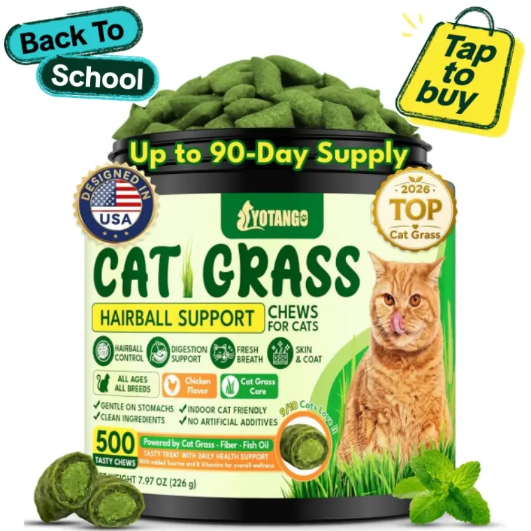 Cat Treats for Indoor Cats Hairball Control Natural Chicken Healthy Cat Grass Treats Kitten Snacks Training Biscuits Catnip for Cats Dental Care 500 Chews sohochic