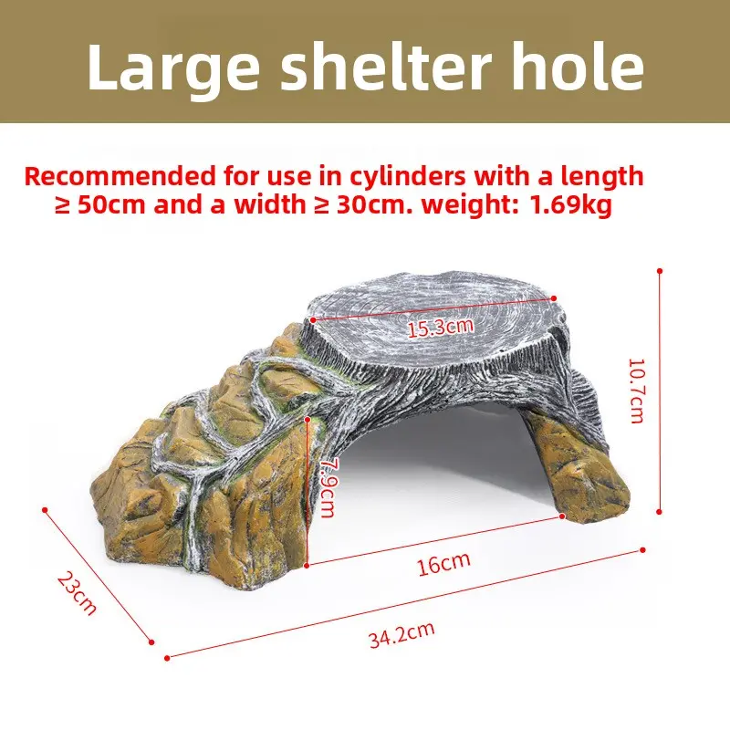 [Sun deck] Large size