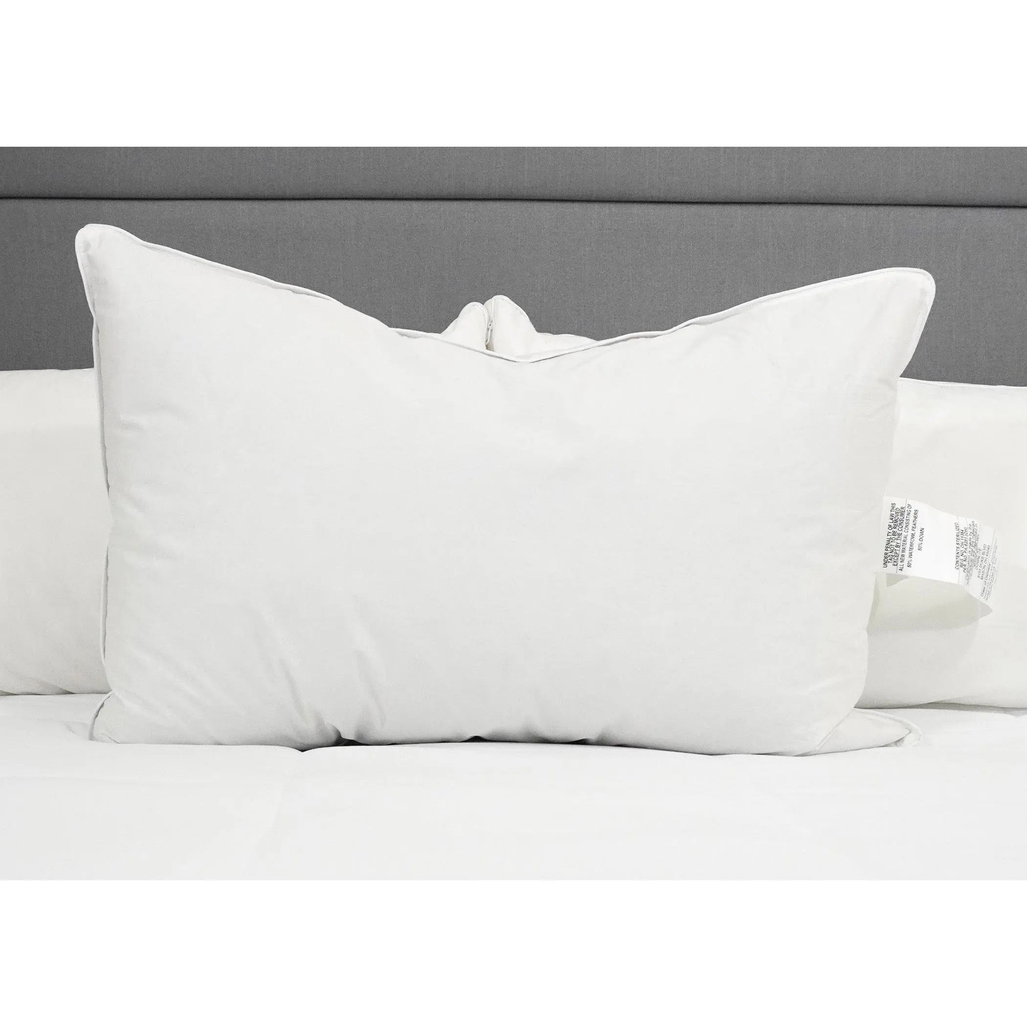 Downlite 50/50 Waterfowl Feather/Grey Down Pillow