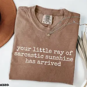 Comfort Colors Your Little Ray of Sarcastic Sunshine Has Arrived Shirt, Funny T-Shirt, Sarcastic Shirt, Humor TShirt, Trendy Womens Shirt