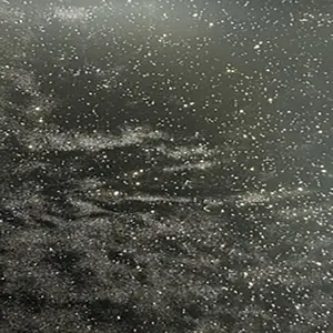 Metallic Velvet Plush Fabric, Elite Spandex Blend - 260g/yd, 56 Inches Wide, Glam for Dancewear & Sportswear | Spandex Palace