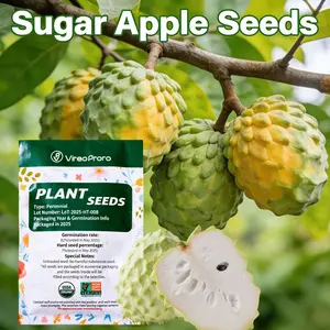 Sugar Apple Annona Squamosa Seeds Non GMO Heirloom Natural Tropical Fruit Tree Seeds Easy Grow Backyard Patio Balcony Container Outdoor Home Garden Landscape Hobby Planting Seeds