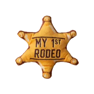 Kitty 1st Rodeo with Catnip