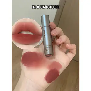 Single Velvet Matte Mist Lip Gloss,Waterproof Non-Stick Cup Lip Glaze Smudge Proof Not Fade Liquid Lipstick,igh pigmentation organic lipstick & lip gloss