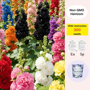 [Promise: Germinate or Refund]300pcs Double Hollyhock Seeds 'Radiant Rose’ - Mixed Colors, Non-GMO Heirloom, Hardy Biennial for Vibrant & Tall Blooms Plant Garden Outdoor Flower Pot Decorative Tulip