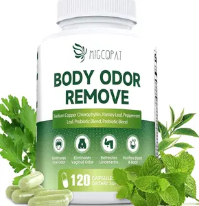Chlorophyll Body Deodorizing Supplement, Chlorophyll Capsules with Parsley & Peppermint, Probiotic, Green Tea, Jerusalem Artichoke, Prebiotic, Supports Fresh Breath & Whole-Body Freshness, 120 Caps