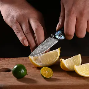 Iridescent Abalone Inlay Damascus Steel Art Knife, Premium Collector’s Display & Daily Use Knife