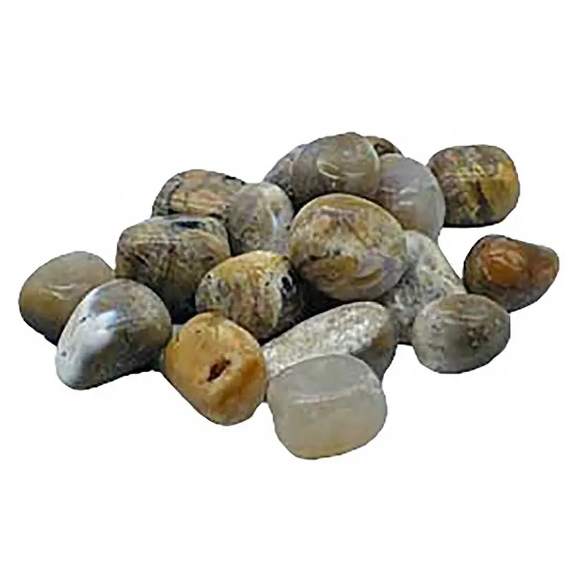 Dendritic Agate Tumbled Stones — 1 lb Bulk Nature Stone