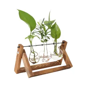 Plant Terrarium with Wooden Stand, Air Planter Bulb Glass Vase Metal Swivel Holder Retro Tabletop for Hydroponics Home Garden Office Decoration - 3 Bulb Vase